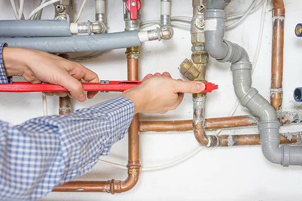 Best Garbage Disposal Repair and Installation  in Marietta Alderwood, WA